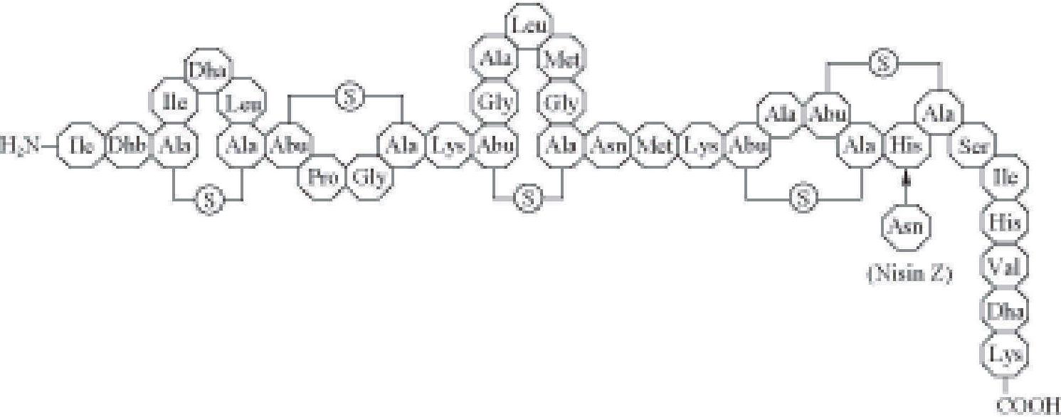 乳酸链球菌素分子结构